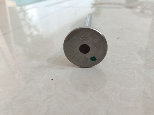ইঞ্জিন ইনটেক ভালভ নিষ্কাশন ভালভ যন্ত্রাংশ 252-7802 224-3030 কাস্টমাইজড